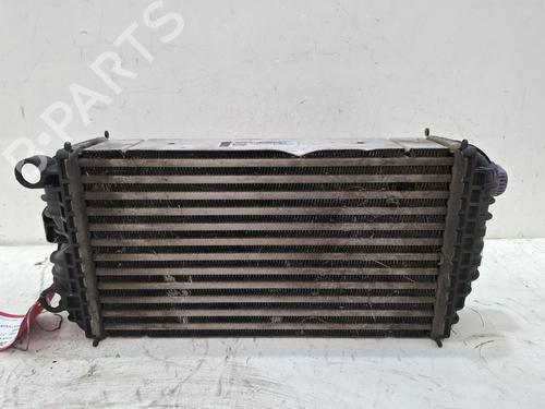 Used Intercooler Intercooler PEUGEOT 2008 II (UD_, US_, UY_, UJ_, UR_, UC_) 1.5 BlueHDI 110 (UDYHSK) (110 hp) 39614744 39614744