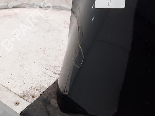 Hood FORD FIESTA VII (HJ, HF) 1.5 TDCi | BP31928286C1