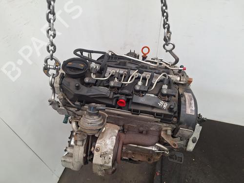 Engine VW GOLF VI Convertible (517) 1.6 TDI | BP39176730M1 - Image 5