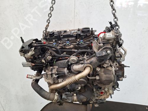 Engine FORD GRAND C-MAX (DXA/CB7, DXA/CEU) 1.5 TDCi | BP29553457M1 
