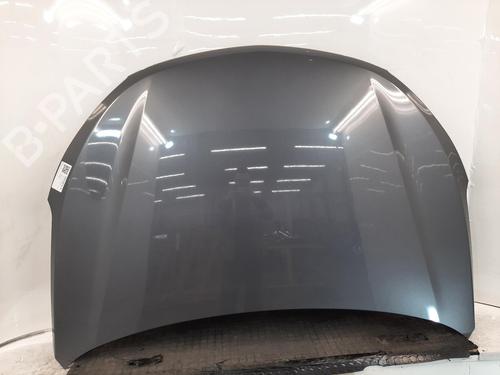 Used Hood Hood HYUNDAI SANTA FÉ III (DM, DMA) 2.2 CRDi 4WD (197 hp) 33840070 33840070