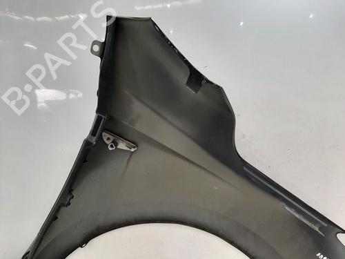 Left front fenders HYUNDAI i20 I (PB, PBT) 1.2 | BP29397973C41 