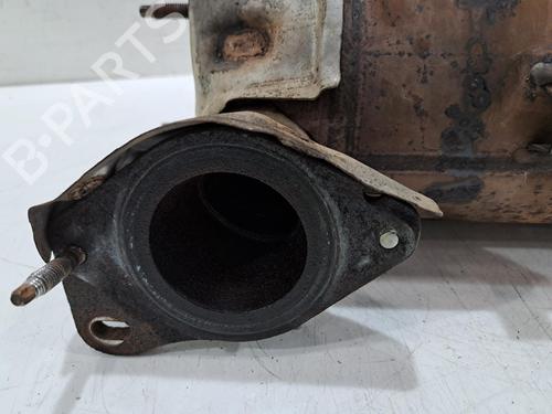 Particulate filter NISSAN JUKE (F15) 1.5 dCi | BP30119673M81