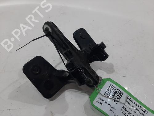 Hinge/Door check strap LAND ROVER RANGE ROVER SPORT I (L320) 3.0 D 4x4 | BP29444451C146 