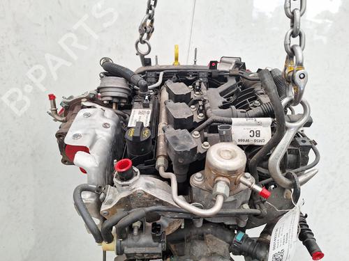Engine FORD FIESTA VII (HJ, HF) 1.0 EcoBoost | BP28274997M1 