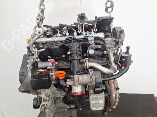 Engine SKODA OCTAVIA II (1Z3) 1.6 TDI | BP33124923M1 - Image 6