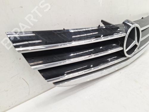 Grille MERCEDES-BENZ A-CLASS (W169) A 170 (169.032, 169.332) | BP26825962C40