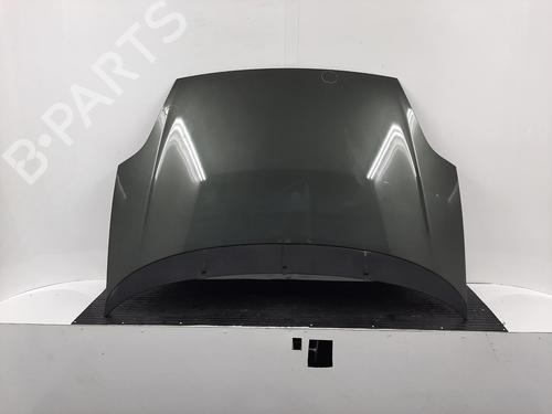 Used Hood FIAT PUNTO EVO (199_) 1.4 (199AXB1A) (77 hp) 26846335