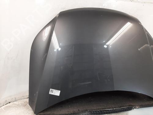 Hood VW TIGUAN (5N_) 2.0 TDI 4motion | BP30180462C1