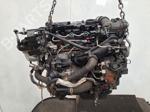 Engine FORD B-MAX (JK) 1.5 TDCi | BP31965264M1 