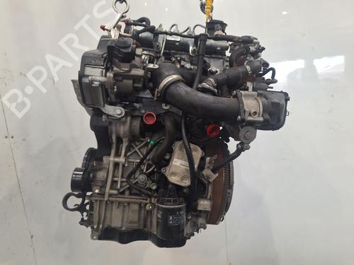 Engine VW POLO V (6R1, 6C1) 1.4 TDI | BP31846770M1