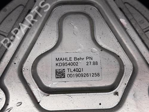 Fan TESLA MODEL 3 (5YJ3) EV AWD | BP29266139M128