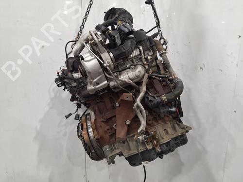 Engine FORD TRANSIT CUSTOM V362 Van (FY, FZ) 2.0 EcoBlue | BP39888849M1 - Image 3