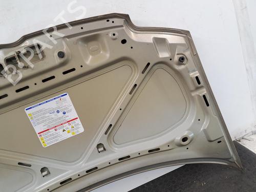 Hood FIAT PANDA (169_) 1.1 (169.AXA1A) | BP29398342C1 
