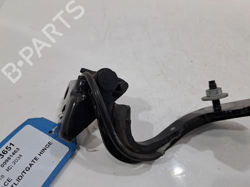 Hinge/Door check strap JAGUAR I-PACE (X590) EV400 AWD | BP29236343C146 