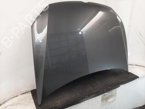 Hood VW POLO V (6R1, 6C1) 1.2 | BP28069480C1 