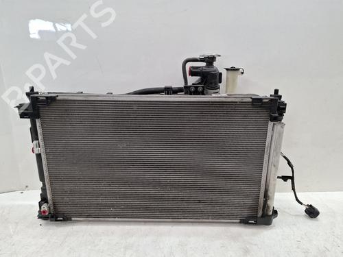Kit radiatore Kit radiatore 39413311 39413311