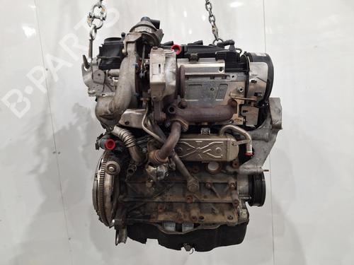 Engine VW GOLF VI (5K1) 1.6 TDI | BP30120111M1