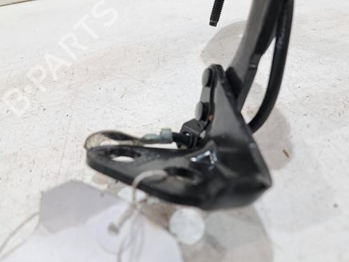 Hinge/Door check strap JAGUAR I-PACE (X590) EV400 AWD | BP30843712C146 