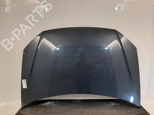 Cofano anteriore VW POLO (9N_, 9A_) 1.4 TDI (80 hp) 26869645