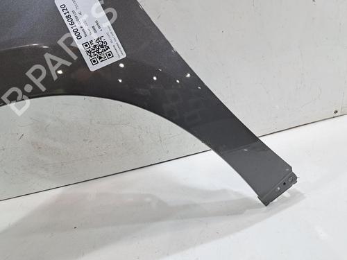 Left front fenders PEUGEOT 2008 I (CU_) 1.6 BlueHDi 100 | BP31685470C41 