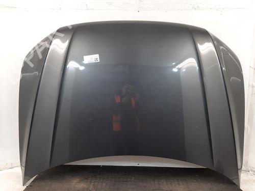Panser VW TIGUAN (AD1, AX1) 2.0 TDI 4motion (150 hp) 29444663
