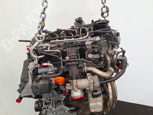 Engine AUDI A3 Convertible (8P7) 1.6 TDI | BP36154503M1  - Image 6