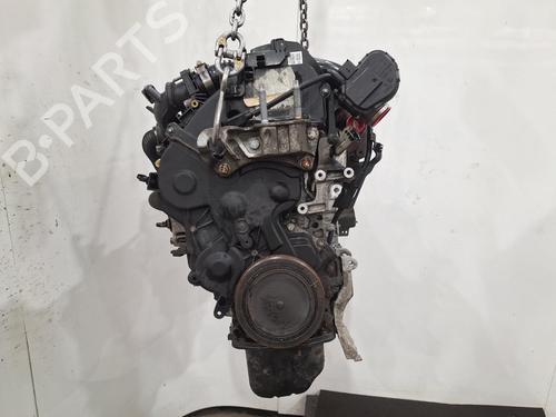 Used Engine FORD FOCUS III 1.6 TDCi (115 hp) 30958999