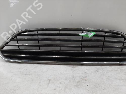 Grill Grill FORD FIESTA VI (CB1, CCN) 1.0 EcoBoost (100 hp) 34121302 34121302