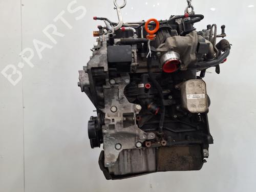 Engine VW GOLF VI (5K1) 1.6 TDI | BP34339362M1  - Image 6