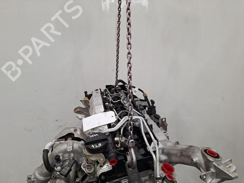 Engine BMW X6 (G06, F96) xDrive 30 d Mild-Hybrid | BP36046609M1 - Image 2