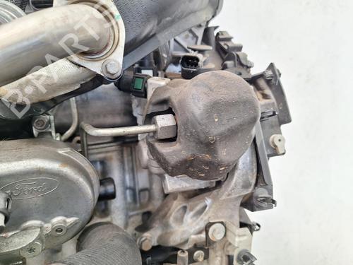 Engine FORD C-MAX II (DXA/CB7, DXA/CEU) 1.5 TDCi | BP28575294M1