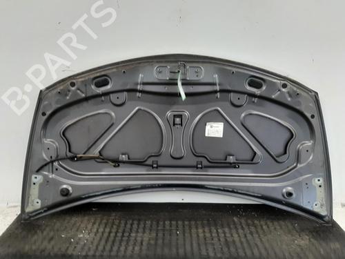 Hood RENAULT CLIO III (BR0/1, CR0/1) 1.2 16V (BR0P, CR0P) | BP26935647C1 