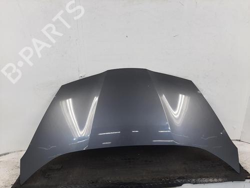 Used Hood Hood HONDA JAZZ III (GE_, GG_, GP_, ZA_) 1.3 i (GE6, GG3, GG6) (100 hp) 34479131 34479131