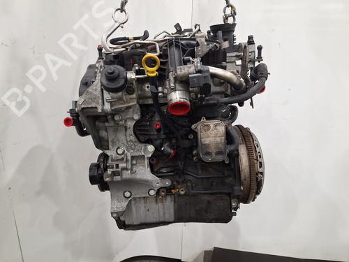 Engine VW GOLF VI Convertible (517) 2.0 TDI | BP31928154M1 