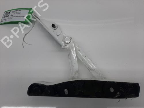 Hinge/Door check strap ASTON MARTIN DB9 Vantage 6.0 V12 | BP29235488C146 