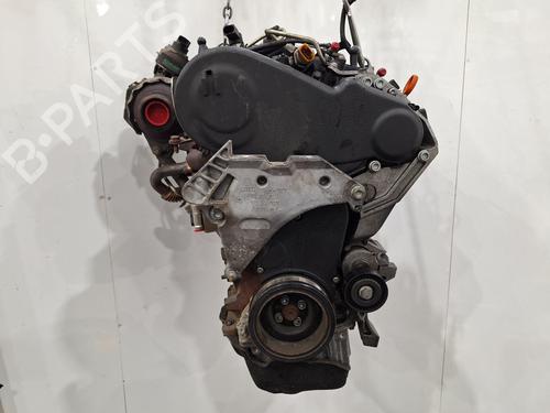 Engine VW GOLF VI (5K1) 1.6 TDI | BP30120111M1
