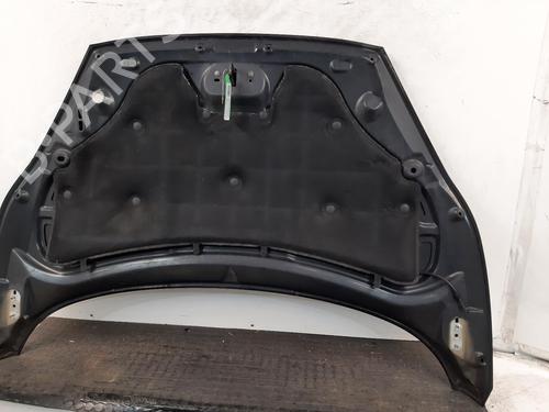 Hood FORD FIESTA VI (CB1, CCN) 1.6 Ti | BP29603834C1 