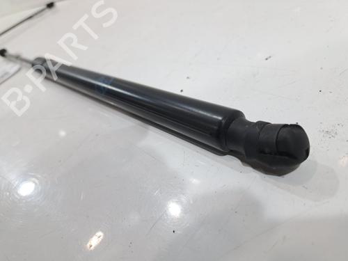 Støddæmperfjeder FORD FOCUS IV (HN) 1.0 EcoBoost mHEV Flex | BP31964512C152