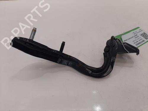 Hinge/Door check strap JAGUAR I-PACE (X590) EV400 AWD | BP29059395C146 