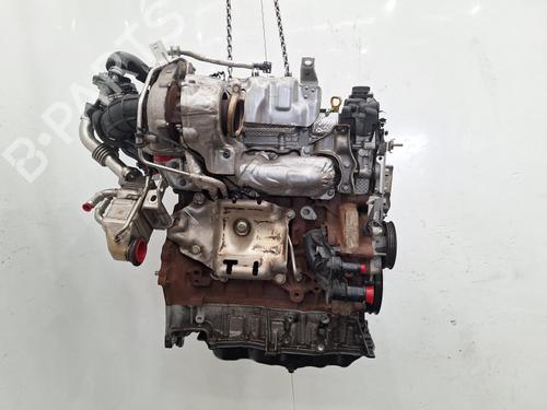 Engine FORD KUGA III (DFK) 2.0 EcoBlue 4x4 | BP40600803M1 - Image 5
