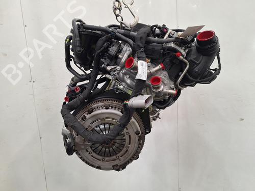 Engine SKODA KAMIQ (NW4) 1.0 TSI | BP36810812M1 - Image 4