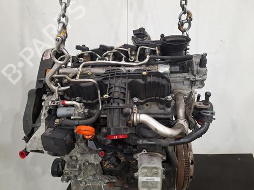 Engine VW GOLF VI Convertible (517) 1.6 TDI | BP31999746M1