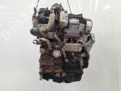 Engine VW GOLF PLUS V (5M1, 521) 1.6 TDI | BP36985948M1 - Image 4