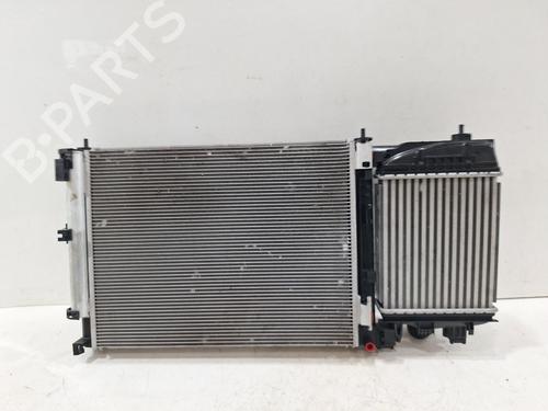 Used Radiator set NISSAN JUKE (F16_) 1.0 (114 hp) 31977853