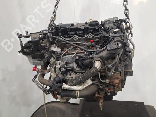 Engine FORD FIESTA VI (CB1, CCN) 1.6 TDCi | BP29237287M1 
