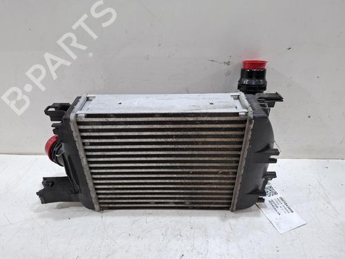 Intercooler DACIA DUSTER (HM_) 1.3 TCe 130 (HMMF) | BP39655596M30 - Image 5
