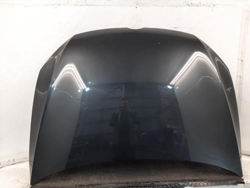 Used Hood VW GOLF VII (5G1, BQ1, BE1, BE2) 2.0 GTI (220 hp) 31750750
