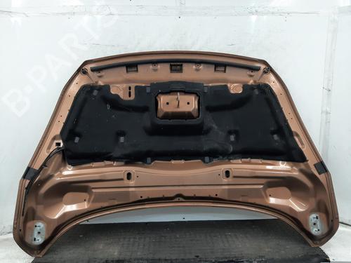 Hood FORD KUGA II (DM2) 2.0 TDCi | BP29603596C1 