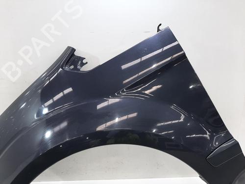 Left front fenders FORD GALAXY II (WA6) 2.0 TDCi | BP26842460C41 